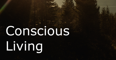 The Power of Living Consciously