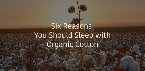 The Benefits of Organic Cotton Bedding: 6 Reasons to Make the Switch