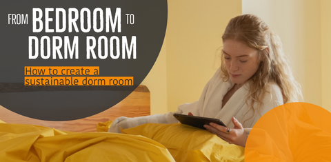 How to Create the Perfect Eco-Friendly Dorm Room